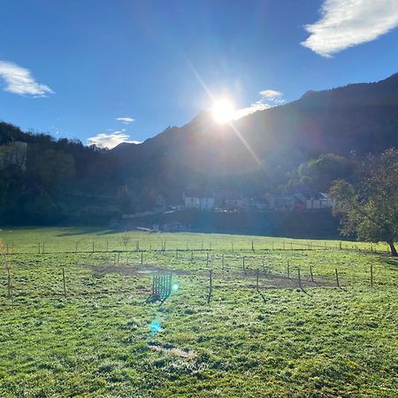 Au Bord Du Gave Apartment Laruns Bagian luar foto