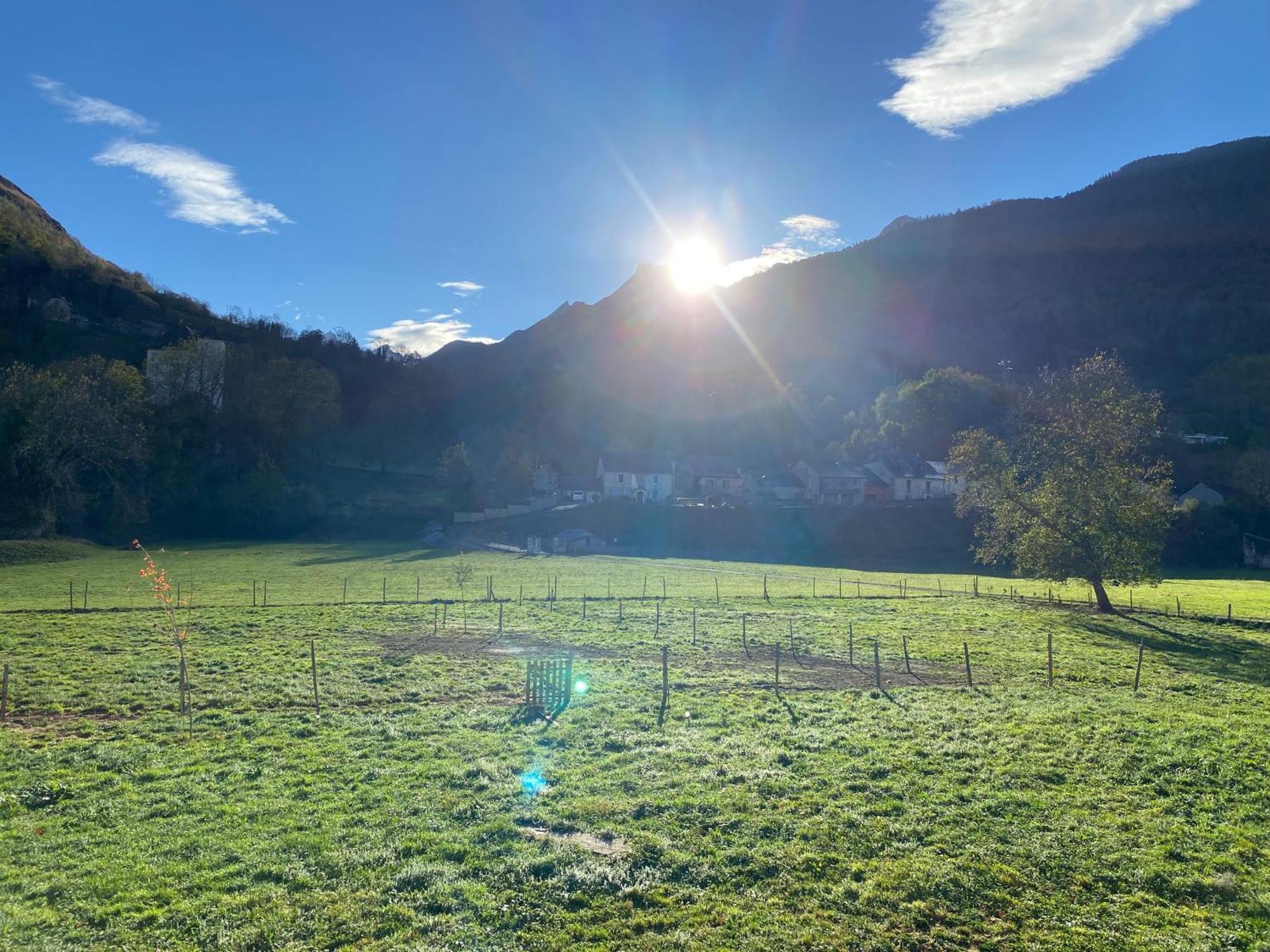 Au Bord Du Gave Apartment Laruns Bagian luar foto